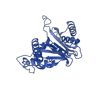 24277_7nap_T_v1-0
Human PA28-20S-PA28 proteasome complex