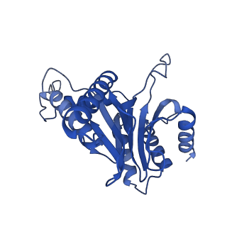 24277_7nap_U_v1-0
Human PA28-20S-PA28 proteasome complex