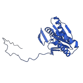 24277_7nap_V_v1-0
Human PA28-20S-PA28 proteasome complex