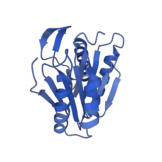 24277_7nap_W_v1-0
Human PA28-20S-PA28 proteasome complex
