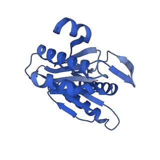 24277_7nap_Y_v1-0
Human PA28-20S-PA28 proteasome complex