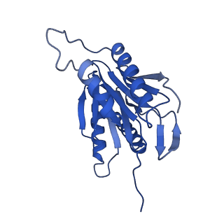 24277_7nap_Z_v1-0
Human PA28-20S-PA28 proteasome complex