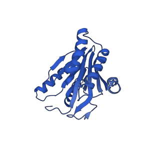 24277_7nap_a_v1-0
Human PA28-20S-PA28 proteasome complex