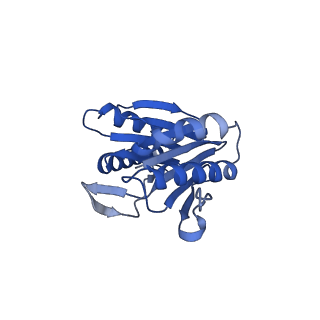 24277_7nap_b_v1-0
Human PA28-20S-PA28 proteasome complex