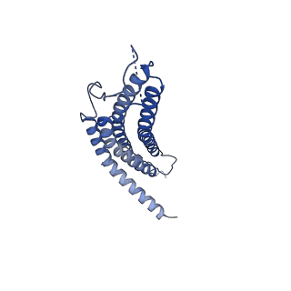 24277_7nap_c_v1-0
Human PA28-20S-PA28 proteasome complex