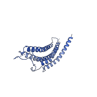 24277_7nap_e_v1-0
Human PA28-20S-PA28 proteasome complex