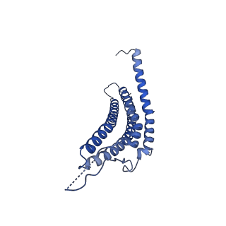 24277_7nap_f_v1-0
Human PA28-20S-PA28 proteasome complex