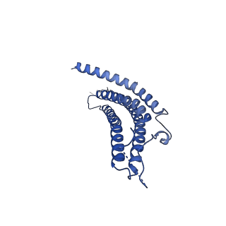 24277_7nap_g_v1-0
Human PA28-20S-PA28 proteasome complex