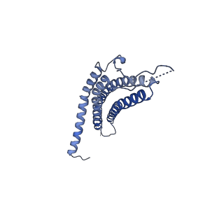24277_7nap_i_v1-0
Human PA28-20S-PA28 proteasome complex