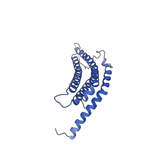 24277_7nap_m_v1-0
Human PA28-20S-PA28 proteasome complex