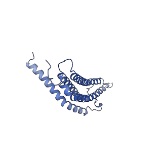 24277_7nap_o_v1-0
Human PA28-20S-PA28 proteasome complex