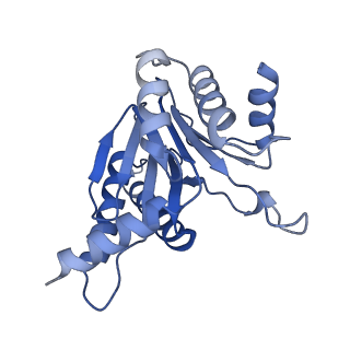 24278_7naq_A_v1-0
Human PA200-20S proteasome complex