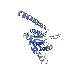 24278_7naq_B_v1-0
Human PA200-20S proteasome complex
