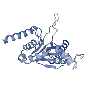 24278_7naq_C_v1-0
Human PA200-20S proteasome complex