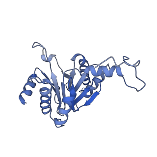 24278_7naq_D_v1-0
Human PA200-20S proteasome complex