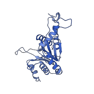 24278_7naq_E_v1-0
Human PA200-20S proteasome complex