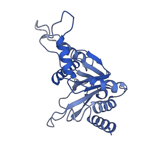 24278_7naq_F_v1-0
Human PA200-20S proteasome complex