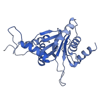 24278_7naq_G_v1-0
Human PA200-20S proteasome complex