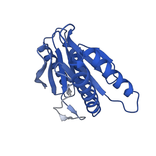 24278_7naq_J_v1-0
Human PA200-20S proteasome complex