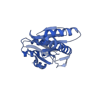 24278_7naq_K_v1-0
Human PA200-20S proteasome complex