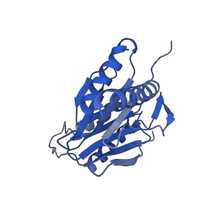 24278_7naq_L_v1-0
Human PA200-20S proteasome complex