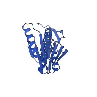24278_7naq_M_v1-0
Human PA200-20S proteasome complex