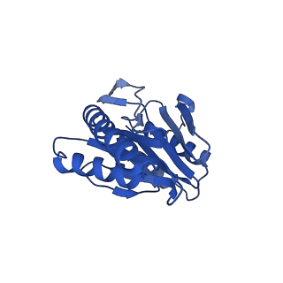 24278_7naq_N_v1-0
Human PA200-20S proteasome complex
