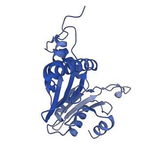 24278_7naq_O_v1-0
Human PA200-20S proteasome complex