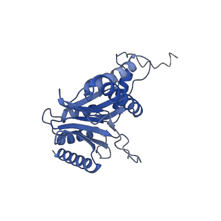 24278_7naq_P_v1-0
Human PA200-20S proteasome complex