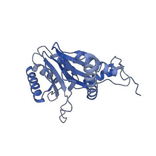24278_7naq_Q_v1-0
Human PA200-20S proteasome complex
