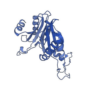 24278_7naq_R_v1-0
Human PA200-20S proteasome complex