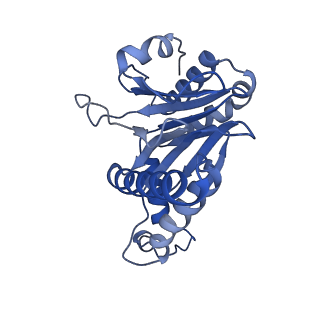 24278_7naq_S_v1-0
Human PA200-20S proteasome complex
