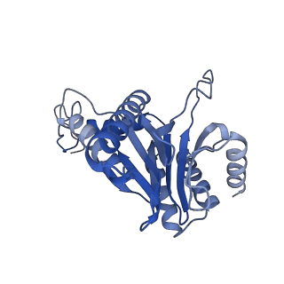 24278_7naq_U_v1-0
Human PA200-20S proteasome complex