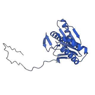 24278_7naq_V_v1-0
Human PA200-20S proteasome complex