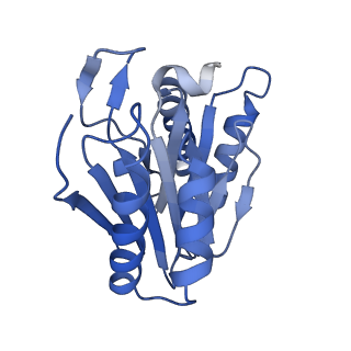 24278_7naq_W_v1-0
Human PA200-20S proteasome complex