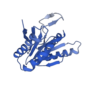 24278_7naq_X_v1-0
Human PA200-20S proteasome complex
