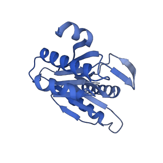 24278_7naq_Y_v1-0
Human PA200-20S proteasome complex