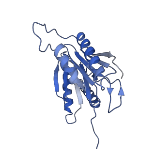 24278_7naq_Z_v1-0
Human PA200-20S proteasome complex