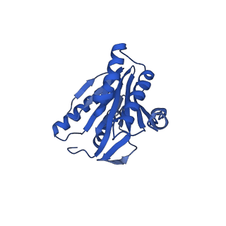 24278_7naq_a_v1-0
Human PA200-20S proteasome complex