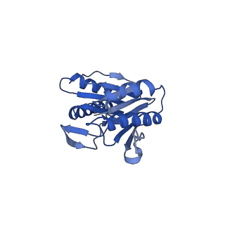 24278_7naq_b_v1-0
Human PA200-20S proteasome complex