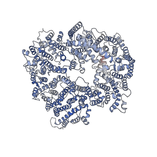 24278_7naq_c_v1-0
Human PA200-20S proteasome complex