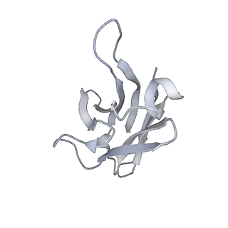 0401_6nb3_E_v1-3
MERS-CoV complex with human neutralizing LCA60 antibody Fab fragment (state 1)
