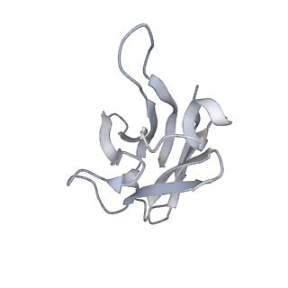 0401_6nb3_E_v2-0
MERS-CoV complex with human neutralizing LCA60 antibody Fab fragment (state 1)