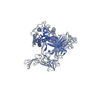 0402_6nb4_A_v1-3
MERS-CoV S complex with human neutralizing LCA60 antibody Fab fragment (state 2)