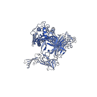 0402_6nb4_A_v2-0
MERS-CoV S complex with human neutralizing LCA60 antibody Fab fragment (state 2)