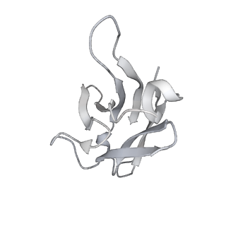 0402_6nb4_L_v2-0
MERS-CoV S complex with human neutralizing LCA60 antibody Fab fragment (state 2)