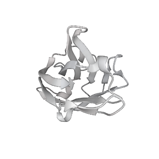 0404_6nb7_G_v1-3
SARS-CoV complex with human neutralizing S230 antibody Fab fragment (state 2)