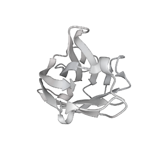 0404_6nb7_G_v2-0
SARS-CoV complex with human neutralizing S230 antibody Fab fragment (state 2)