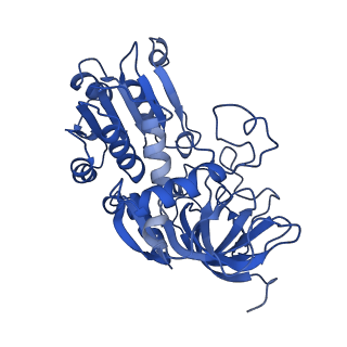 0406_6nbb_B_v1-2
Horse liver alcohol dehydrogenase determined using single-particle cryo-EM at 200 keV