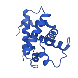 0407_6nbc_A_v1-3
human methemoglobin state 1 determined using single-particle cryo-EM at 200 keV